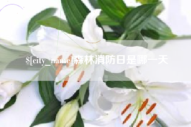 济源森林消防日是哪一天