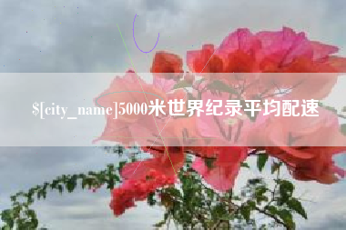 济源5000米世界纪录平均配速