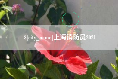 济源上海消防员2021