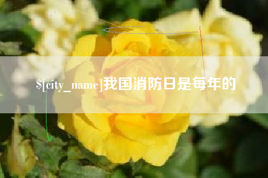 济源我国消防日是每年的