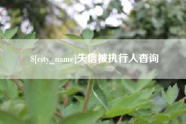 济源失信被执行人杳询
