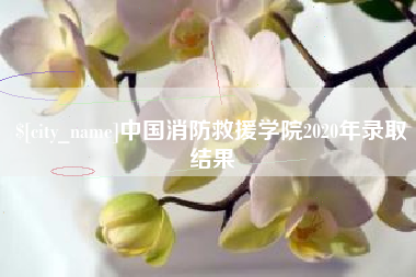 济源中国消防救援学院2020年录取结果