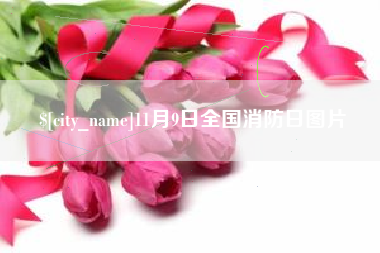 济源11月9日全国消防日图片