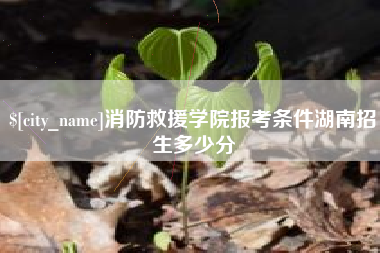 济源消防救援学院报考条件湖南招生多少分