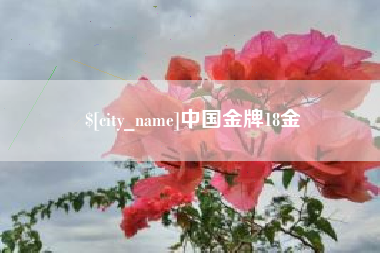 济源中国金牌18金