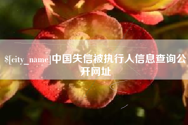 济源中国失信被执行人信息查询公开网址