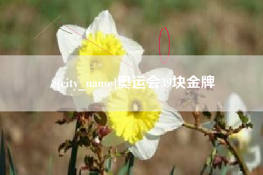 济源奥运会39块金牌