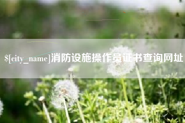 济源消防设施操作员证书查询网址