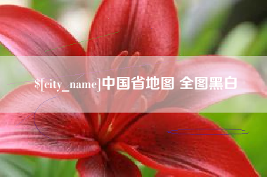 济源中国省地图 全图黑白