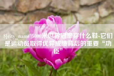 济源5000米世界冠军穿什么鞋-它们是运动员取得优异成绩背后的重要“功臣”