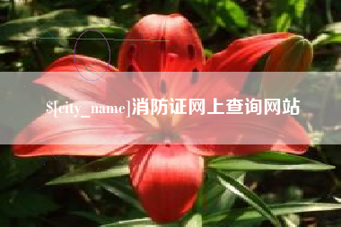 济源消防证网上查询网站