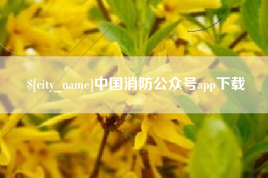 济源中国消防公众号app下载