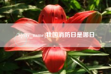 济源我国消防日是哪日