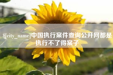 济源中国执行案件查询公开网都是执行不了得案子