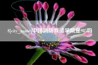 济源中国消防救援学院是985吗