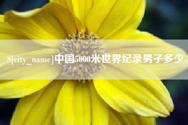 济源中国5000米世界纪录男子多少