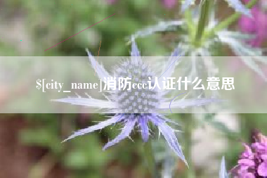 济源消防ccc认证什么意思