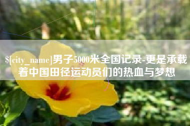 济源男子5000米全国记录-更是承载着中国田径运动员们的热血与梦想