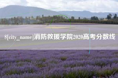 济源消防救援学院2020高考分数线