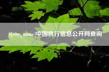 济源中国执行信息公开网查询