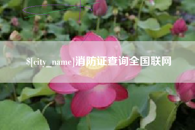 济源消防证查询全国联网