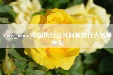 济源中国执行公开网被执行人名单查询