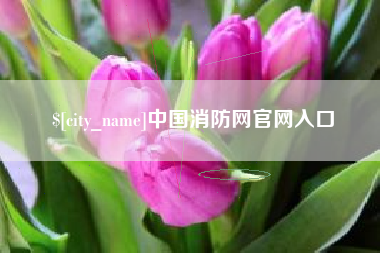 济源中国消防网官网入口