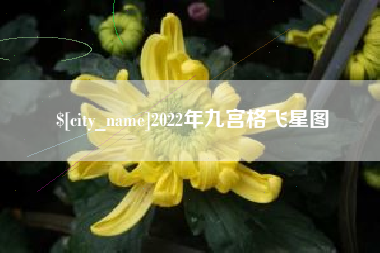 济源2022年九宫格飞星图