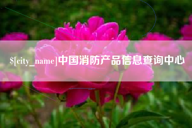 济源中国消防产品信息查询中心