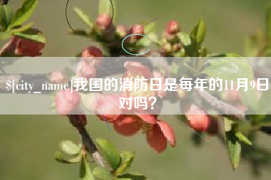 济源我国的消防日是每年的11月9日对吗？
