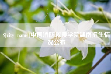 济源中国消防救援学院湖南招生情况公布