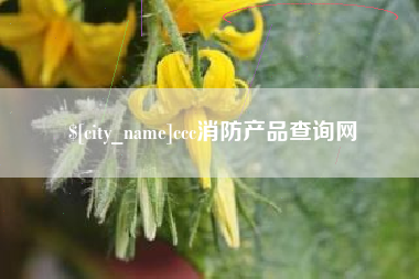 济源ccc消防产品查询网