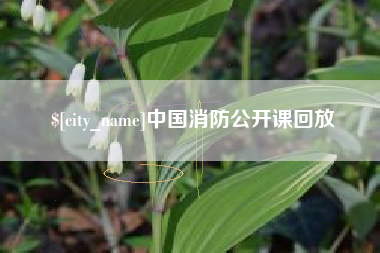 济源中国消防公开课回放