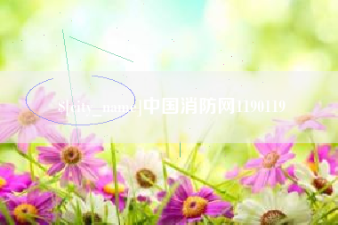 济源中国消防网1190119