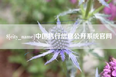 济源中国执行信息公开系统官网