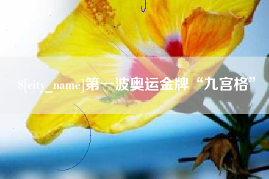 济源第一波奥运金牌“九宫格”