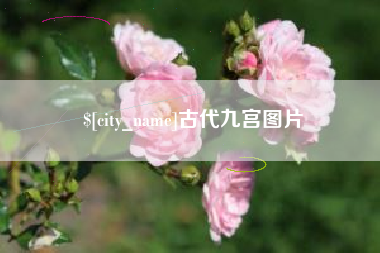 济源古代九宫图片