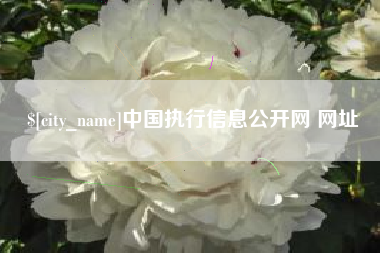 济源中国执行信息公开网 网址
