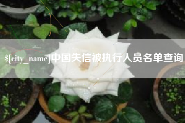 济源中国失信被执行人员名单查询