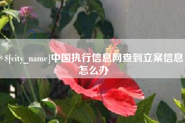 济源中国执行信息网查到立案信息怎么办