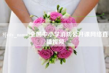 济源全国中小学消防公开课网络直播视频