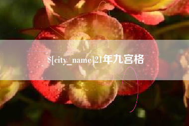 济源21年九宫格