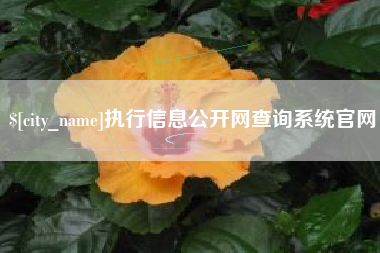 济源执行信息公开网查询系统官网