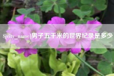 济源男子五千米的世界纪录是多少