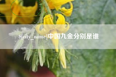 济源中国九金分别是谁