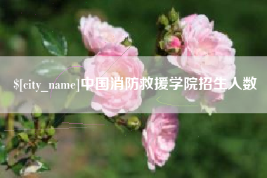 济源中国消防救援学院招生人数