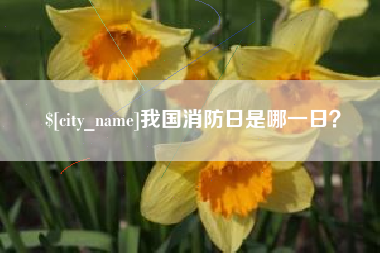 济源我国消防日是哪一日？