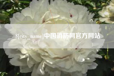 济源中国消防网官方网站