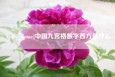 济源中国九宫格数字西方是什么