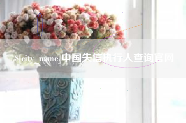 济源中国失信执行人查询官网